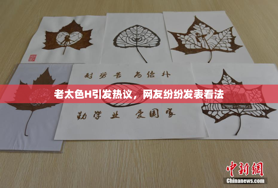 老太色H引发热议，网友纷纷发表看法