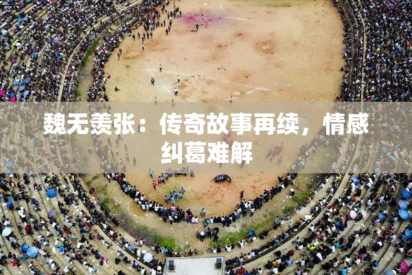 魏无羡张：传奇故事再续，情感纠葛难解