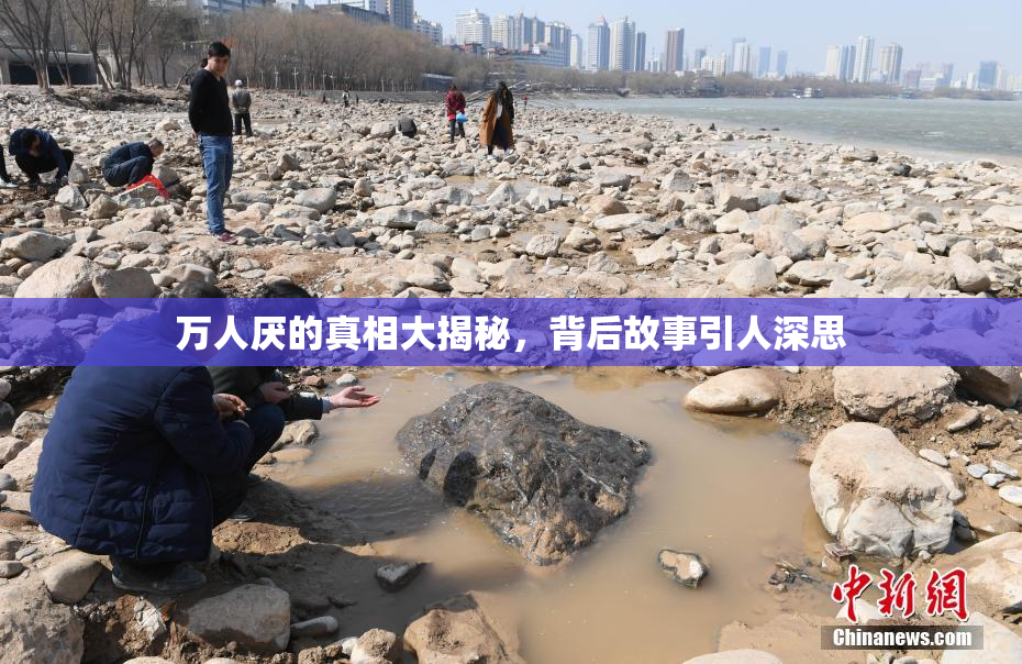 万人厌的真相大揭秘，背后故事引人深思