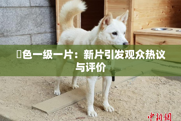 黃色一级一片：新片引发观众热议与评价