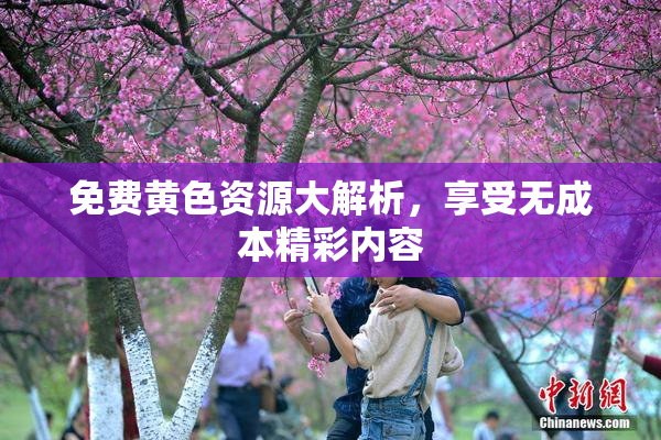 免费黄色资源大解析，享受无成本精彩内容