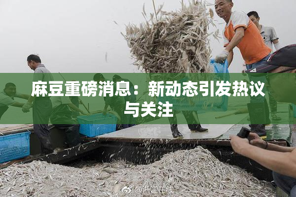 麻豆重磅消息：新动态引发热议与关注