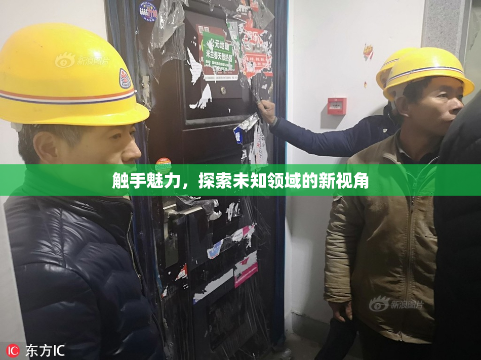 触手魅力，探索未知领域的新视角