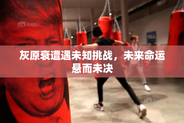 灰原衰遭遇未知挑战，未来命运悬而未决