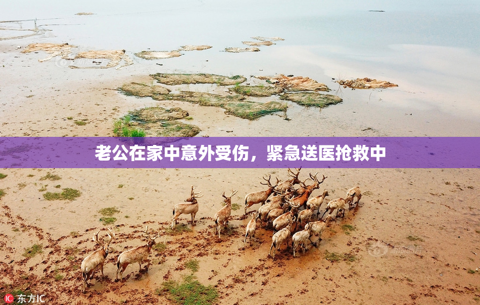 老公在家中意外受伤，紧急送医抢救中