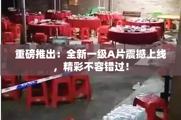 重磅推出：全新一级A片震撼上线，精彩不容错过！