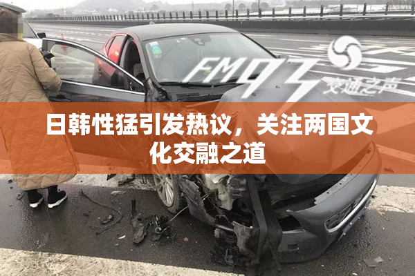 日韩性猛引发热议，关注两国文化交融之道