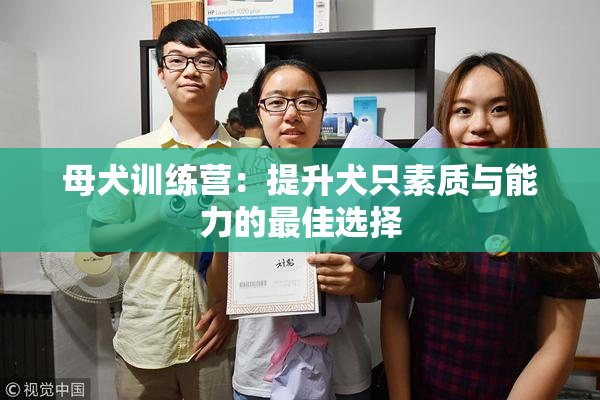 母犬训练营：提升犬只素质与能力的最佳选择