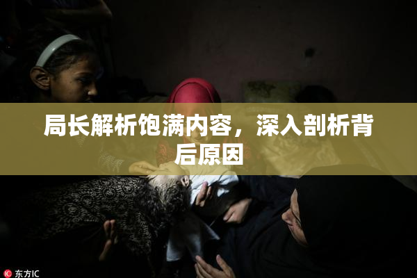 局长解析饱满内容，深入剖析背后原因