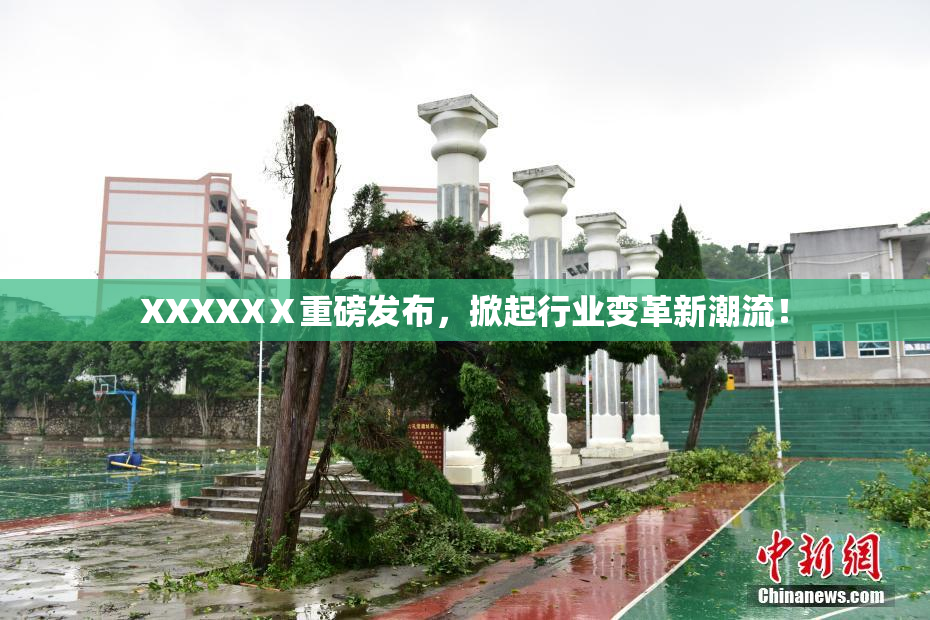 XXXXXⅩ重磅发布，掀起行业变革新潮流！