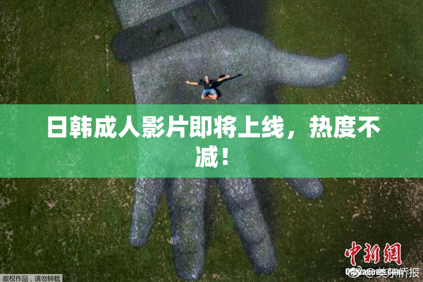 日韩成人影片即将上线，热度不减！