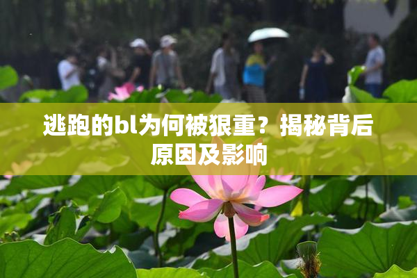 逃跑的bl为何被狠重？揭秘背后原因及影响