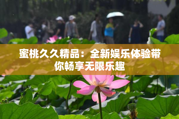 蜜桃久久精品：全新娱乐体验带你畅享无限乐趣