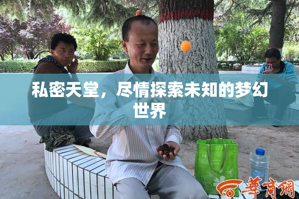 私密天堂，尽情探索未知的梦幻世界