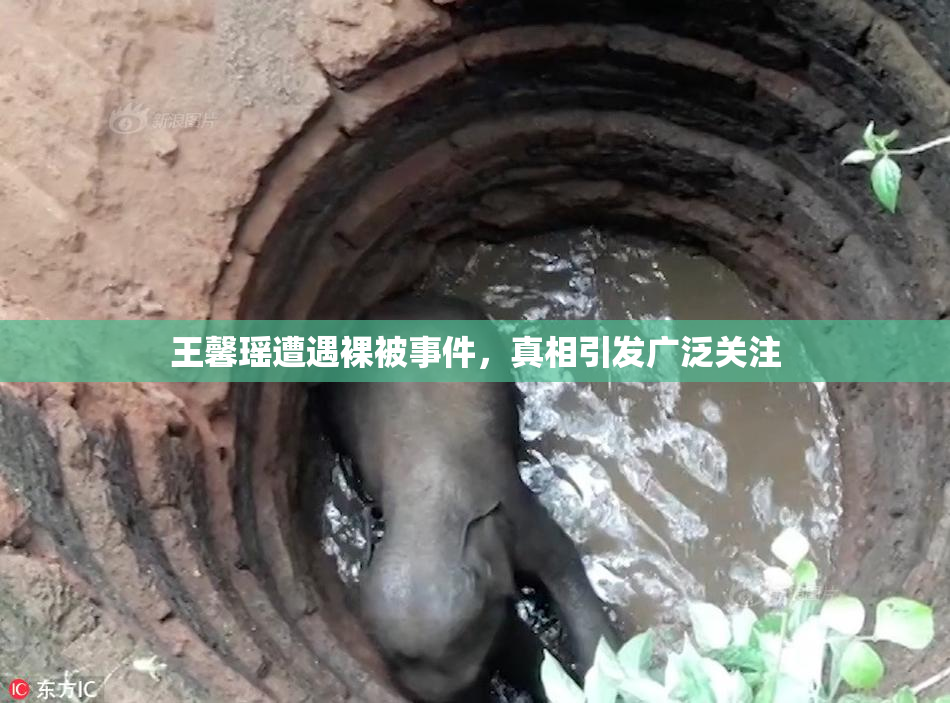 王馨瑶遭遇裸被事件，真相引发广泛关注