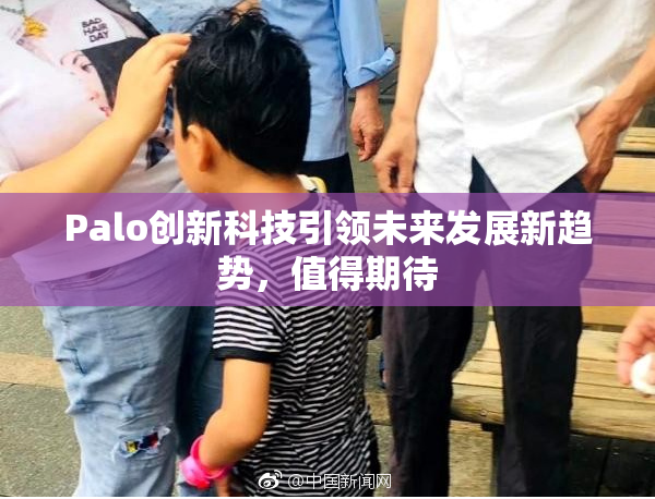 Palo创新科技引领未来发展新趋势，值得期待