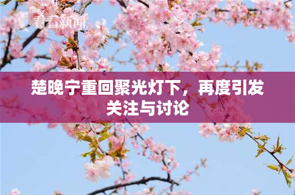 楚晚宁重回聚光灯下，再度引发关注与讨论