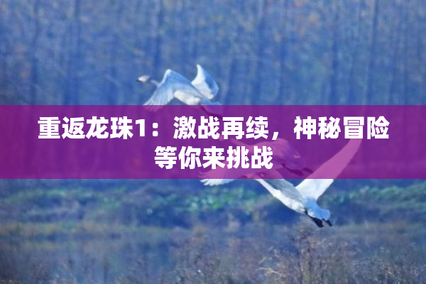 重返龙珠1：激战再续，神秘冒险等你来挑战