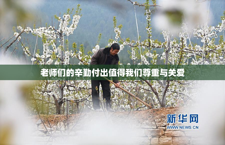 老师们的辛勤付出值得我们尊重与关爱