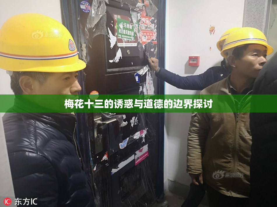 梅花十三的诱惑与道德的边界探讨