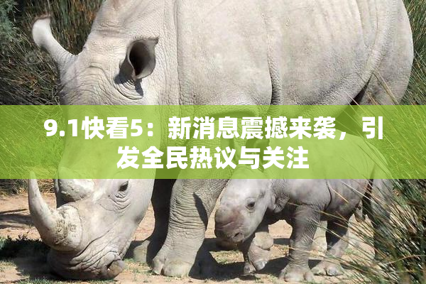 9.1快看5：新消息震撼来袭，引发全民热议与关注