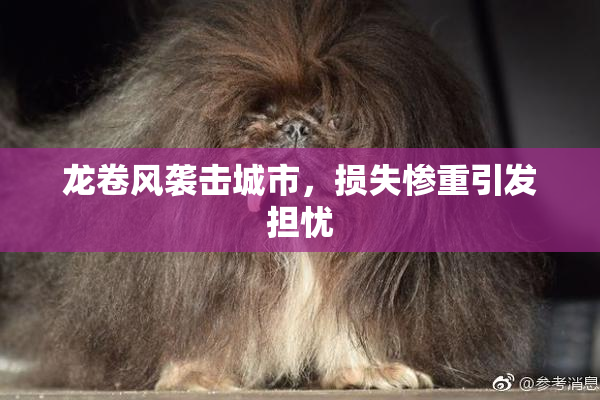 龙卷风袭击城市，损失惨重引发担忧