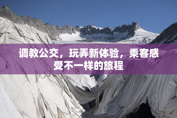 调教公交，玩弄新体验，乘客感受不一样的旅程