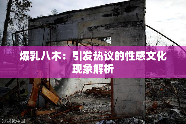 爆乳八木：引发热议的性感文化现象解析