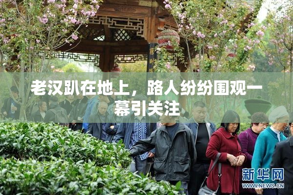老汉趴在地上，路人纷纷围观一幕引关注