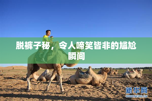 脱裤子秘，令人啼笑皆非的尴尬瞬间
