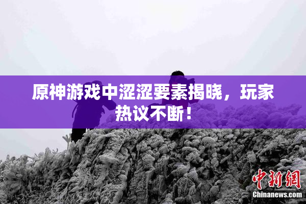原神游戏中涩涩要素揭晓，玩家热议不断！