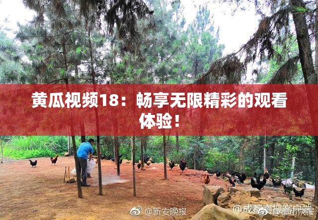 黄瓜视频18：畅享无限精彩的观看体验！