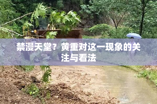 禁漫天堂？黄重对这一现象的关注与看法