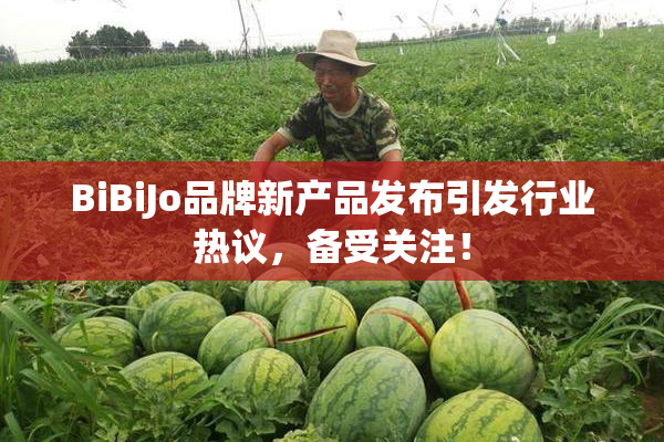 BiBiJo品牌新产品发布引发行业热议，备受关注！
