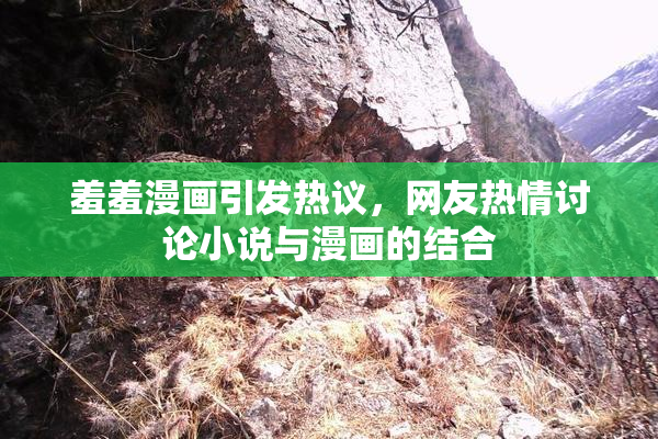羞羞漫画引发热议，网友热情讨论小说与漫画的结合