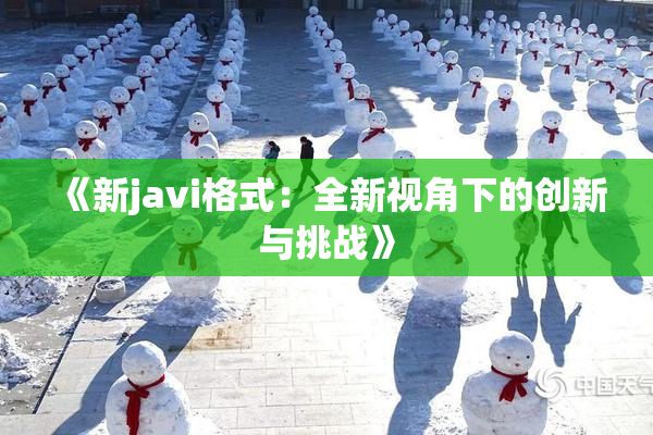 《新javi格式：全新视角下的创新与挑战》