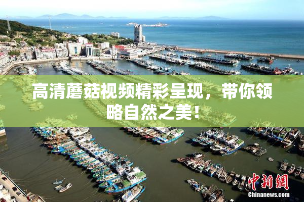 高清蘑菇视频精彩呈现，带你领略自然之美！