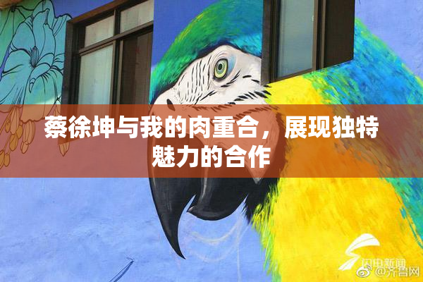 蔡徐坤与我的肉重合，展现独特魅力的合作