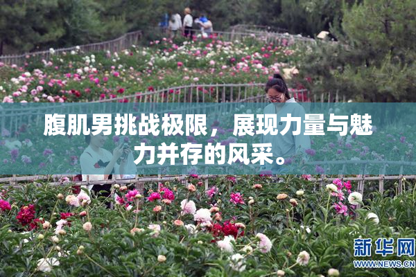 腹肌男挑战极限，展现力量与魅力并存的风采。