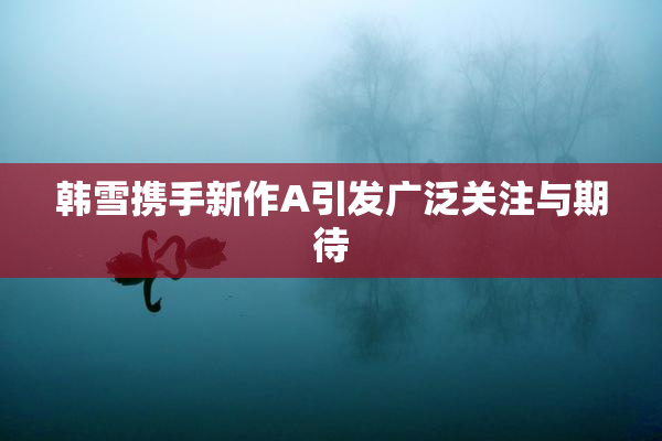 韩雪携手新作A引发广泛关注与期待