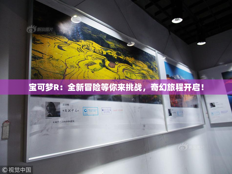 宝可梦R：全新冒险等你来挑战，奇幻旅程开启！