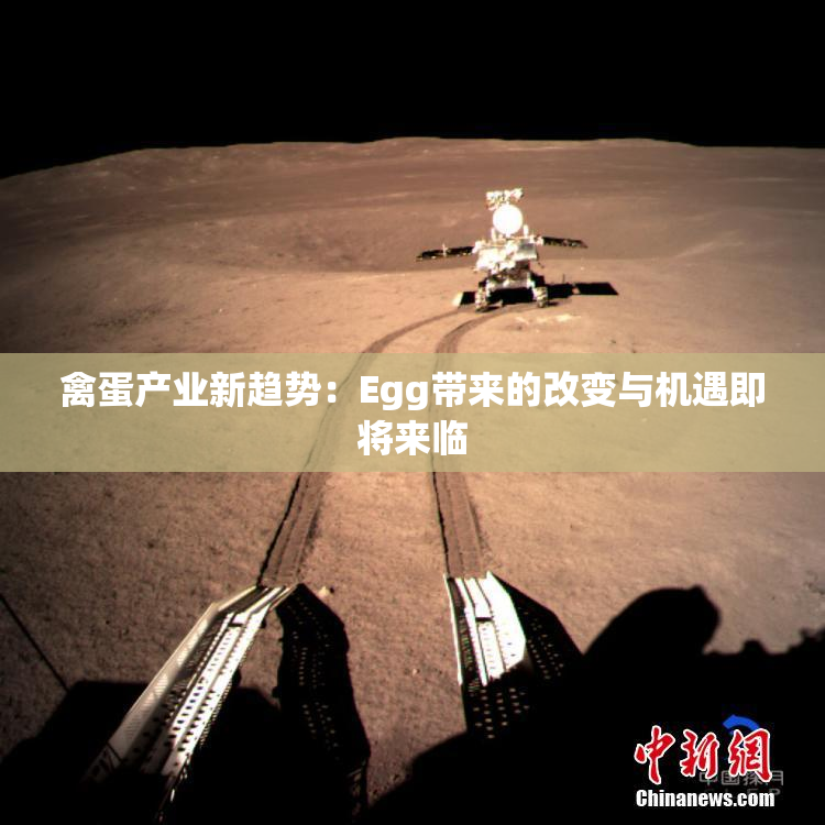 禽蛋产业新趋势：Egg带来的改变与机遇即将来临