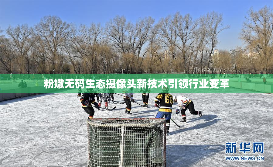 粉嫩无码生态摄像头新技术引领行业变革