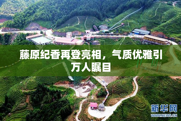 藤原纪香再登亮相，气质优雅引万人瞩目