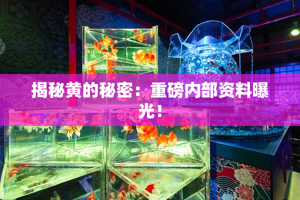 揭秘黄的秘密：重磅内部资料曝光！