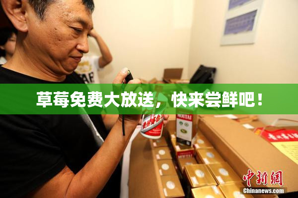 草莓免费大放送，快来尝鲜吧！