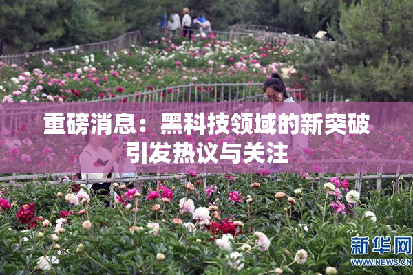 重磅消息：黑科技领域的新突破引发热议与关注