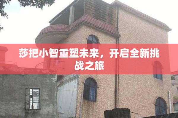 莎把小智重塑未来，开启全新挑战之旅