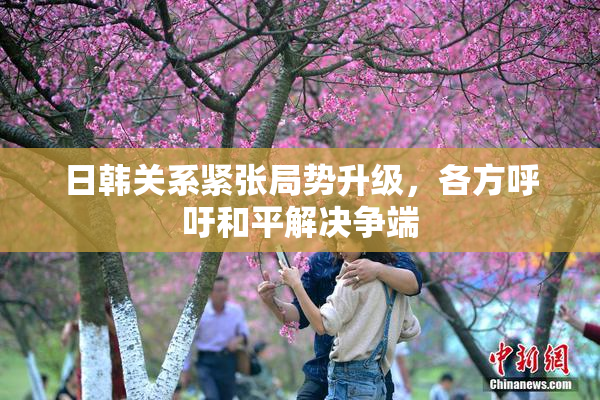 日韩关系紧张局势升级，各方呼吁和平解决争端