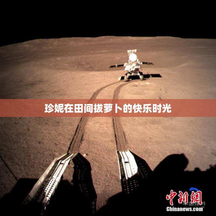 珍妮在田间拔萝卜的快乐时光